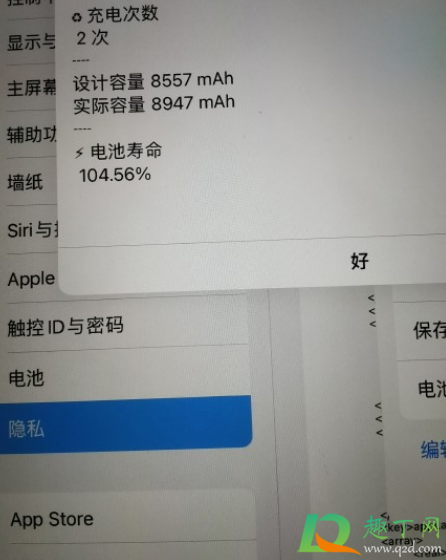 ipad2020怎么查电池寿命2